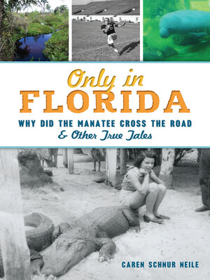 cover image of Only in Florida